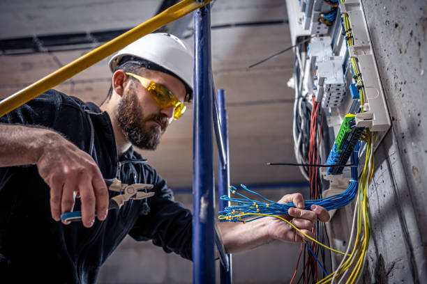 Best Electric Panel Repair  in Bells, TX